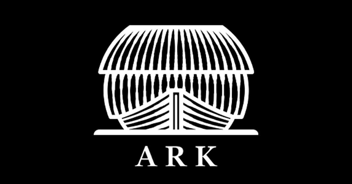 ARK Playing Card – ARK Playing Cards